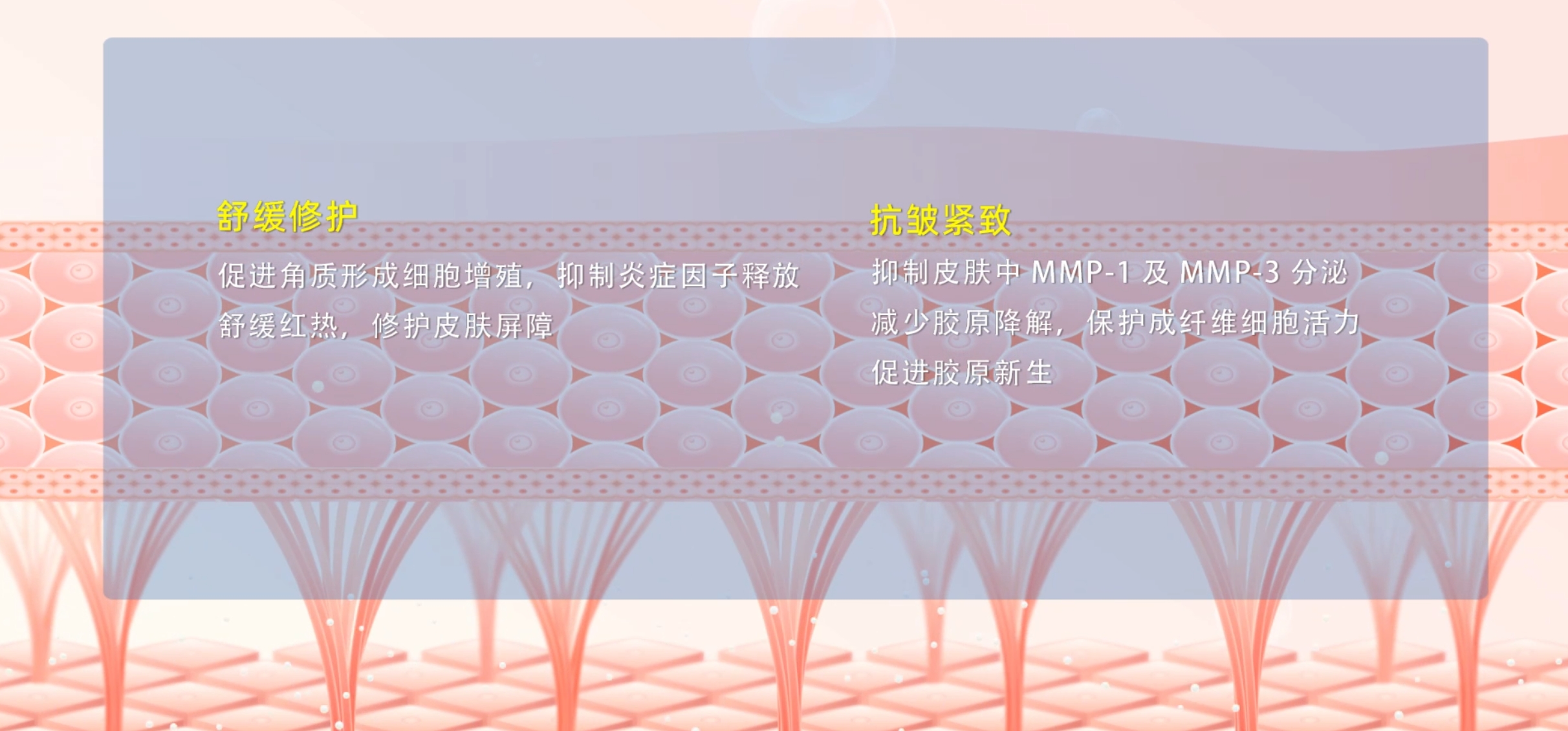 微信截圖_20240823093448 微信截圖_20240823093448